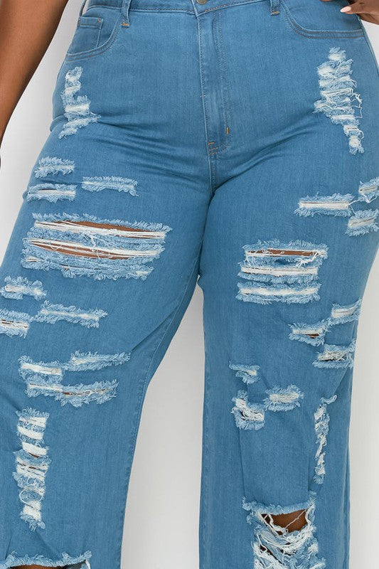 Plus Size Distressed Straight Leg Jeans - Bella Sevyn